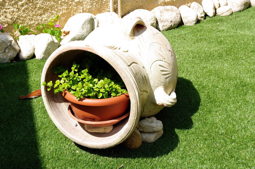 Bed and Breakfast Dimora Antica Pianella Pianella  Exterior foto